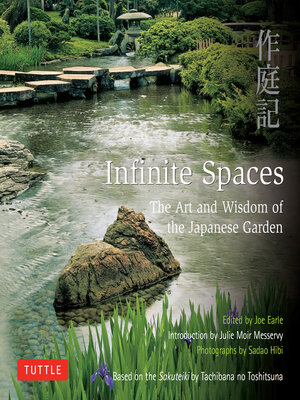 cover image of Infinite Spaces